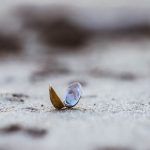 wunden und perlen - kindheitsverletzungen heilen