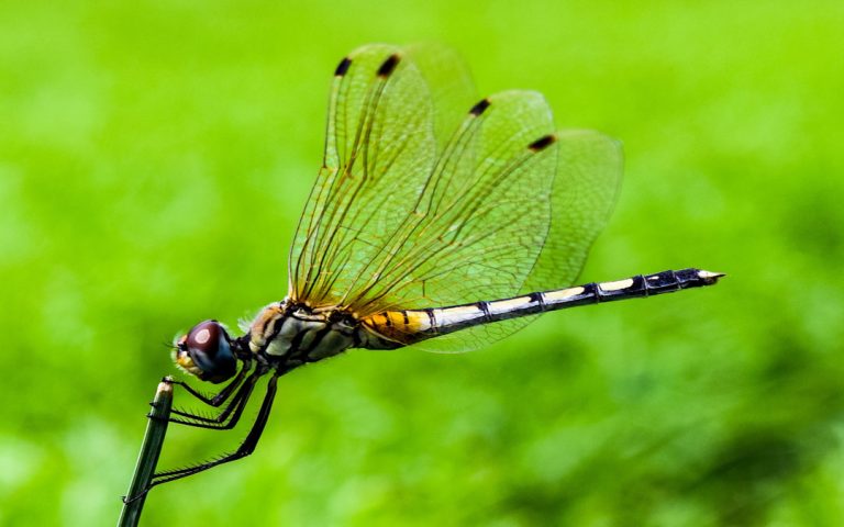 Natur und Körper