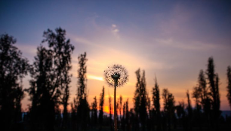 Entspannung finden in der abendlichen Natur