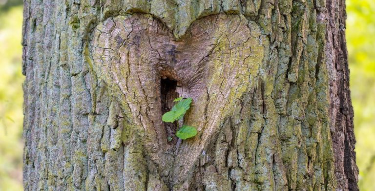 Co-Regulation ist ein Fundament menschlicher Beziehung