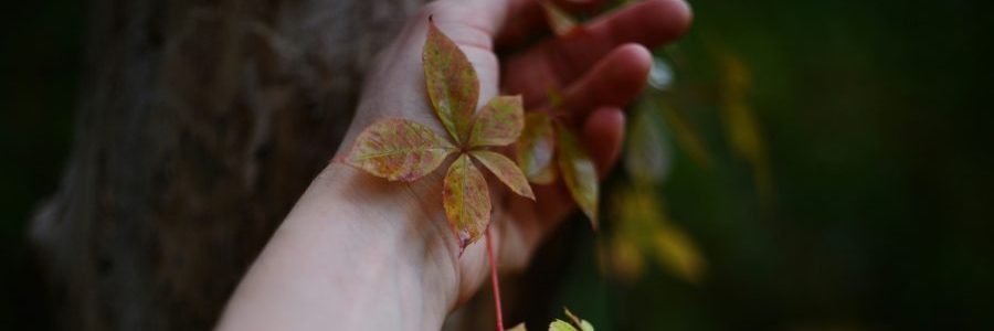 Erhöhtes sinnliches Spüren ist eine der intensivsten Hochsensibilität Symptome