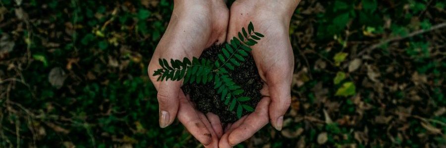 noah-buscher-x8ZStukS2PM-unsplash-e1777460418981.jpg