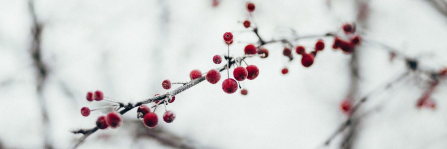 winterruhe-unsplash