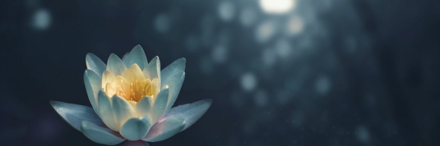 Innere Ruhe und Entspannung durch Meditation
